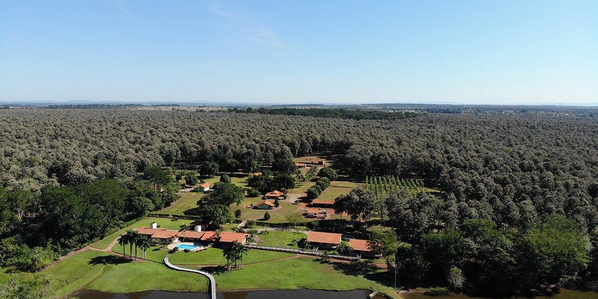 De plantage vanuit de lucht gezien.